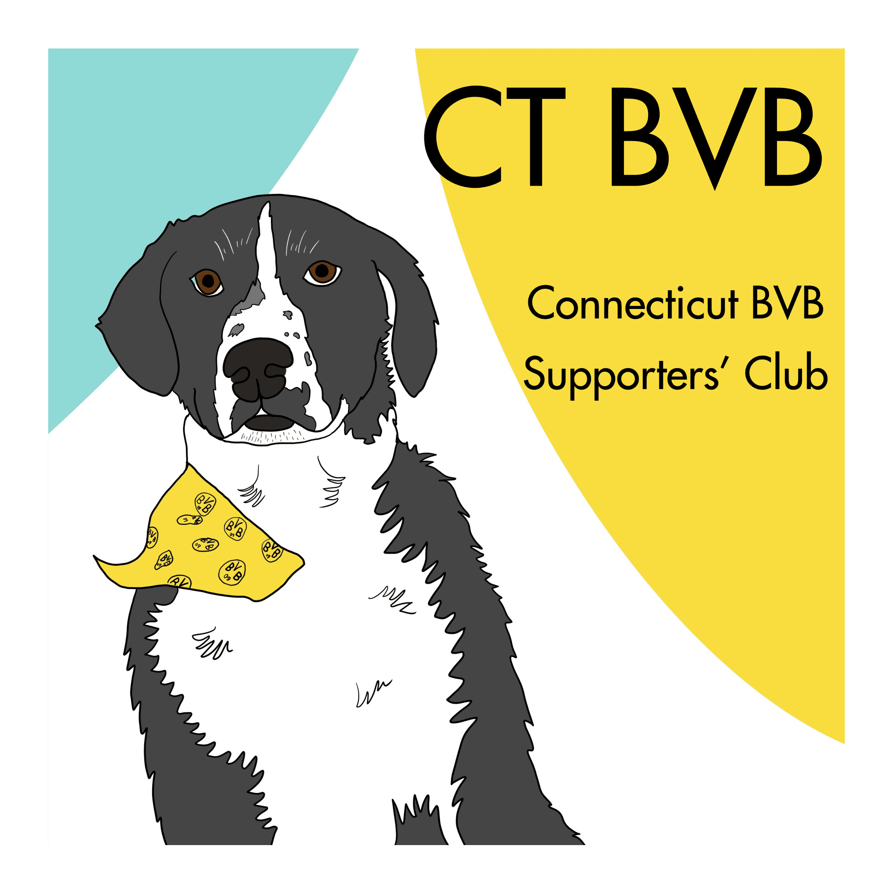 CT%20BVB